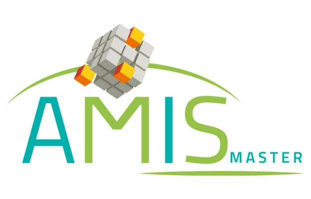 Logo Master AMIS : INP Phelma